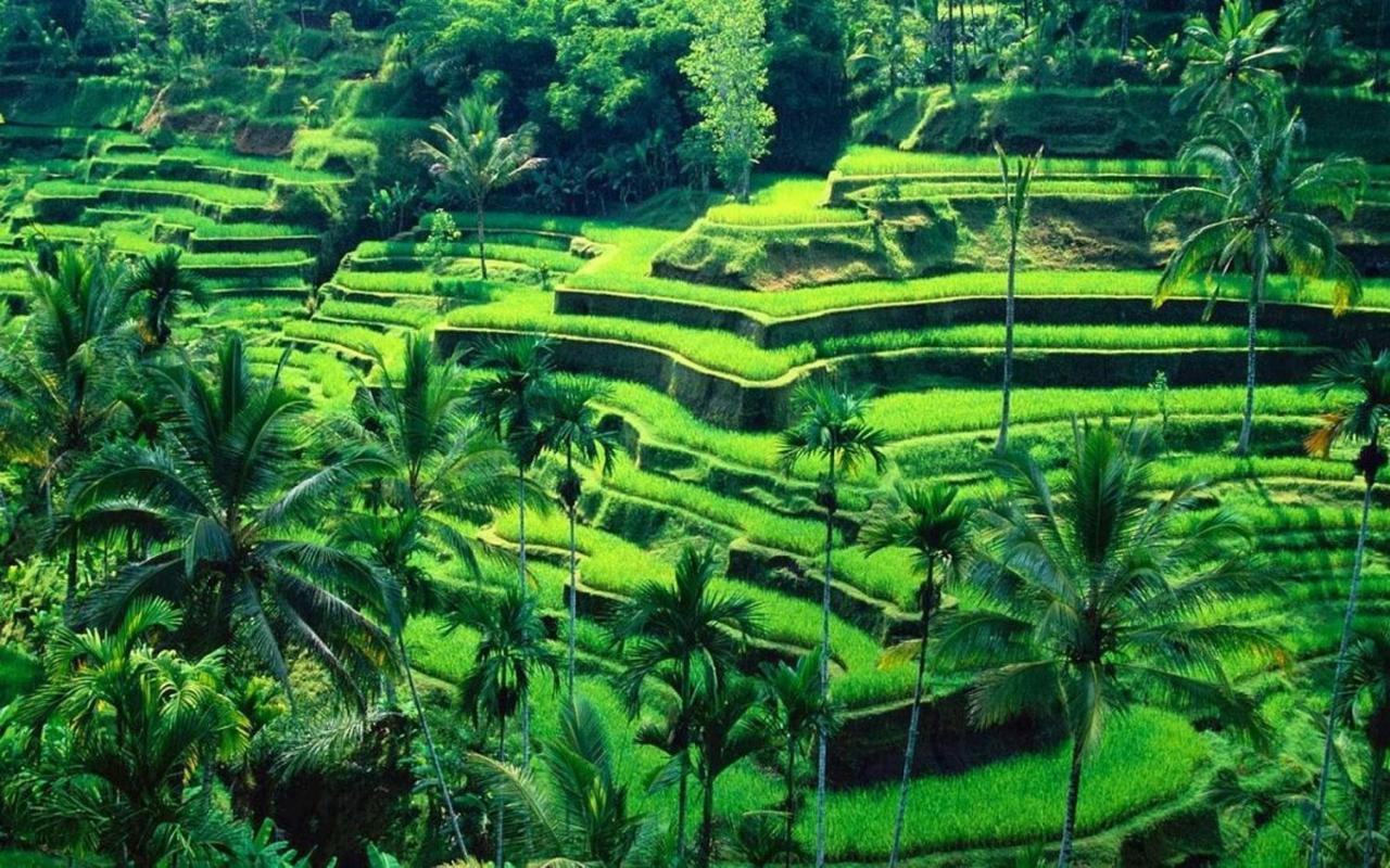 Ubud River Campuhan Villa Zewnętrze zdjęcie